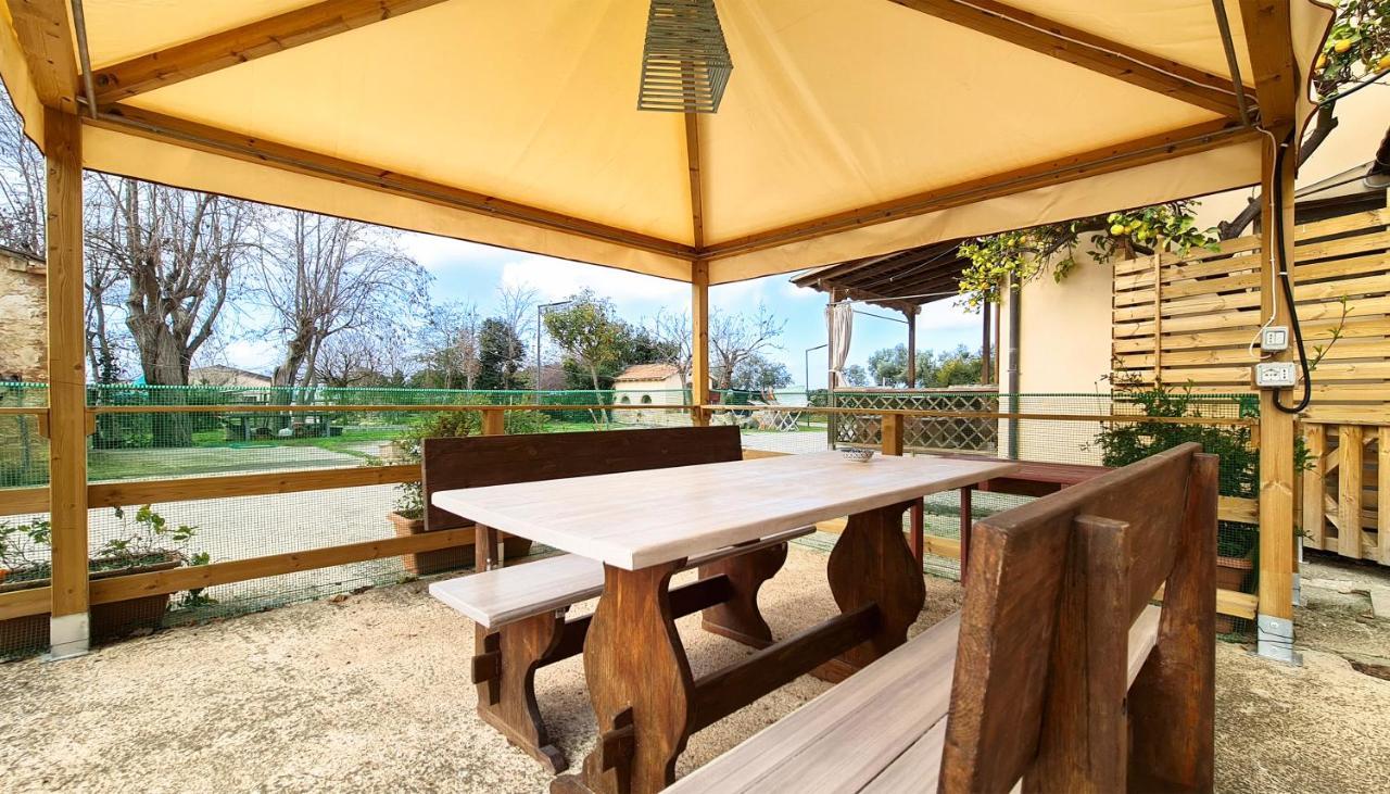 Agriturismo Barbadoro San Vincenzo Dış mekan fotoğraf
