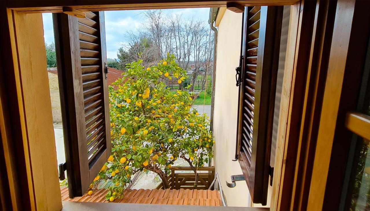 Agriturismo Barbadoro San Vincenzo Dış mekan fotoğraf