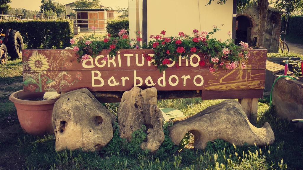 Agriturismo Barbadoro San Vincenzo Oda fotoğraf