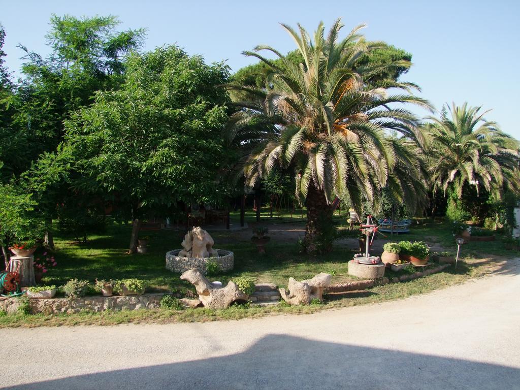 Agriturismo Barbadoro San Vincenzo Dış mekan fotoğraf