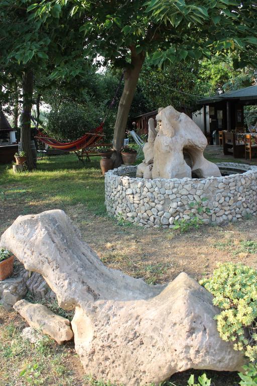 Agriturismo Barbadoro San Vincenzo Dış mekan fotoğraf