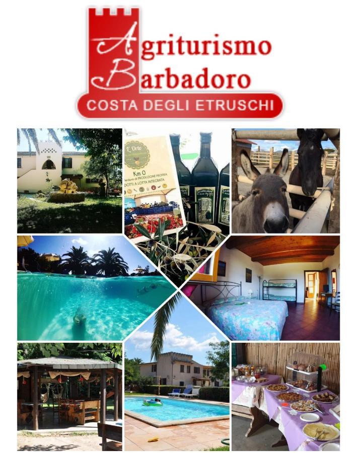 Agriturismo Barbadoro San Vincenzo Dış mekan fotoğraf